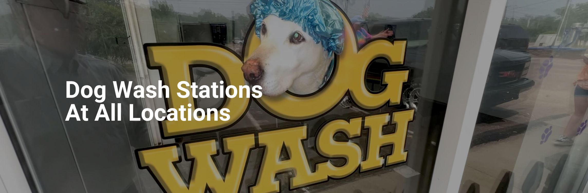 Dog Wash Locations